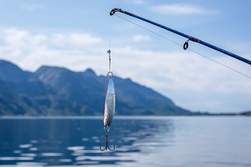 The art of sea fishing