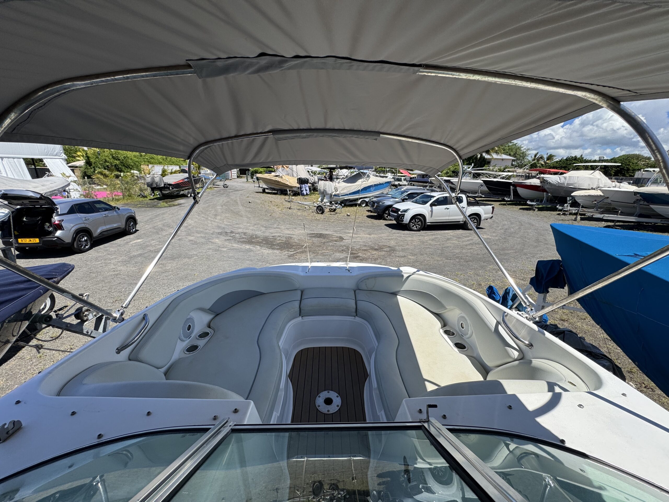 Sunsation 26