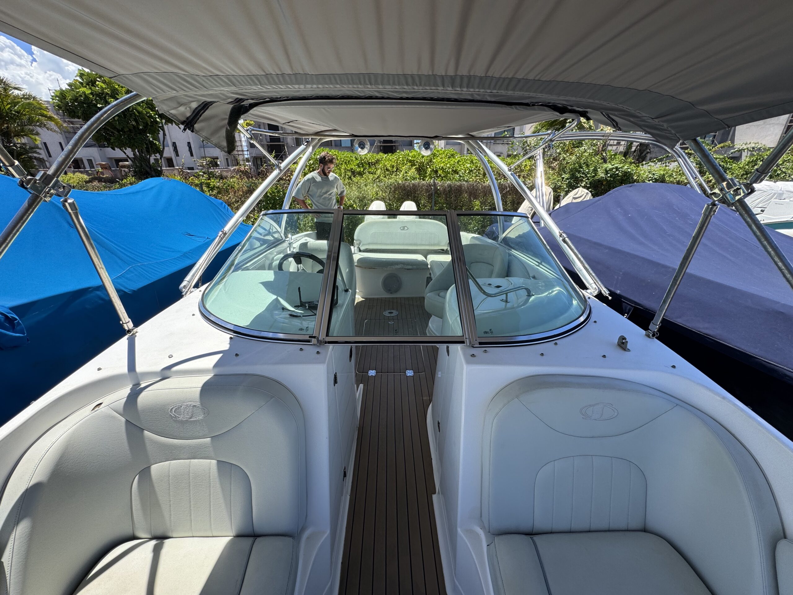 Sunsation 26