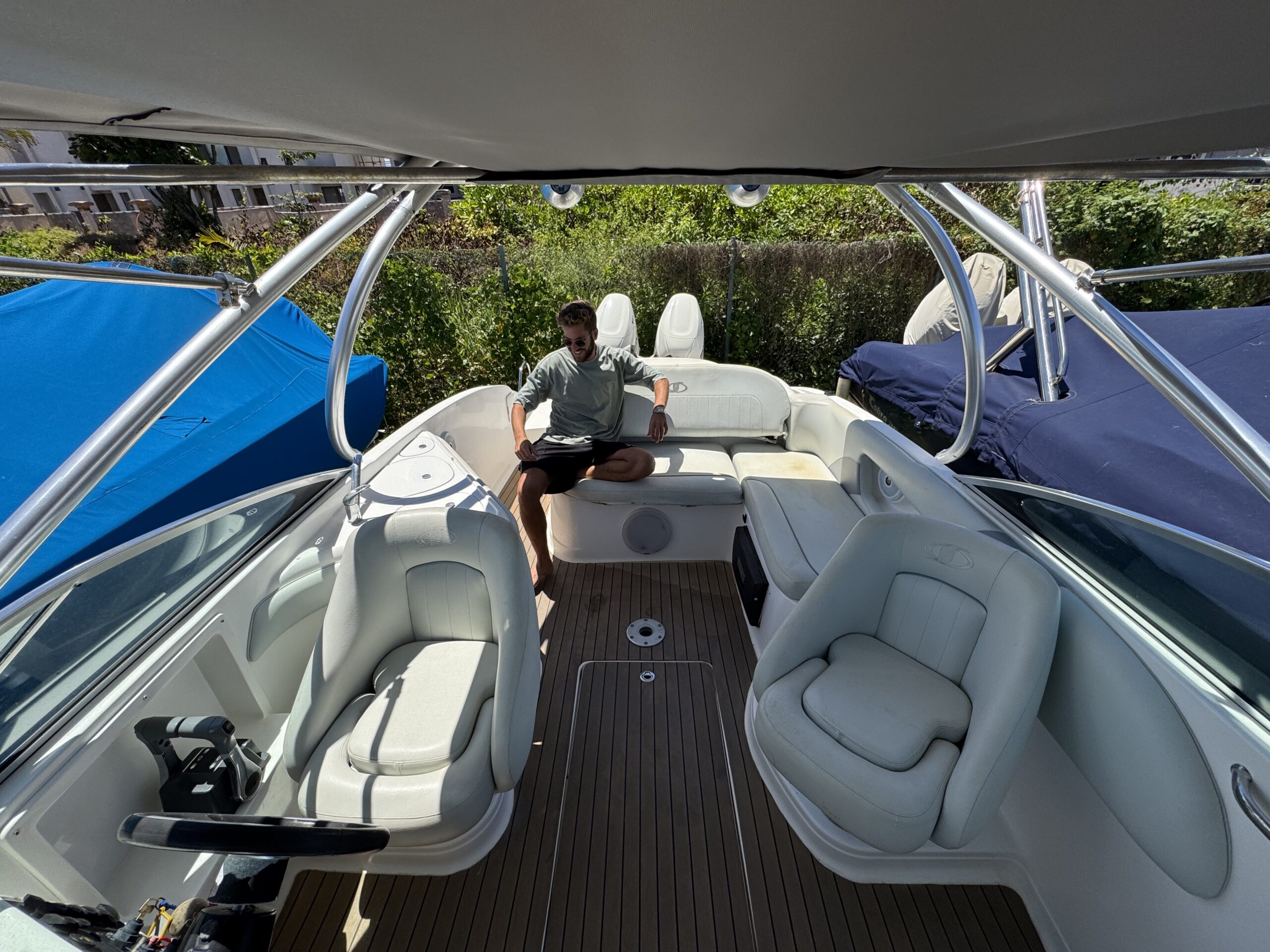 Sunsation 26