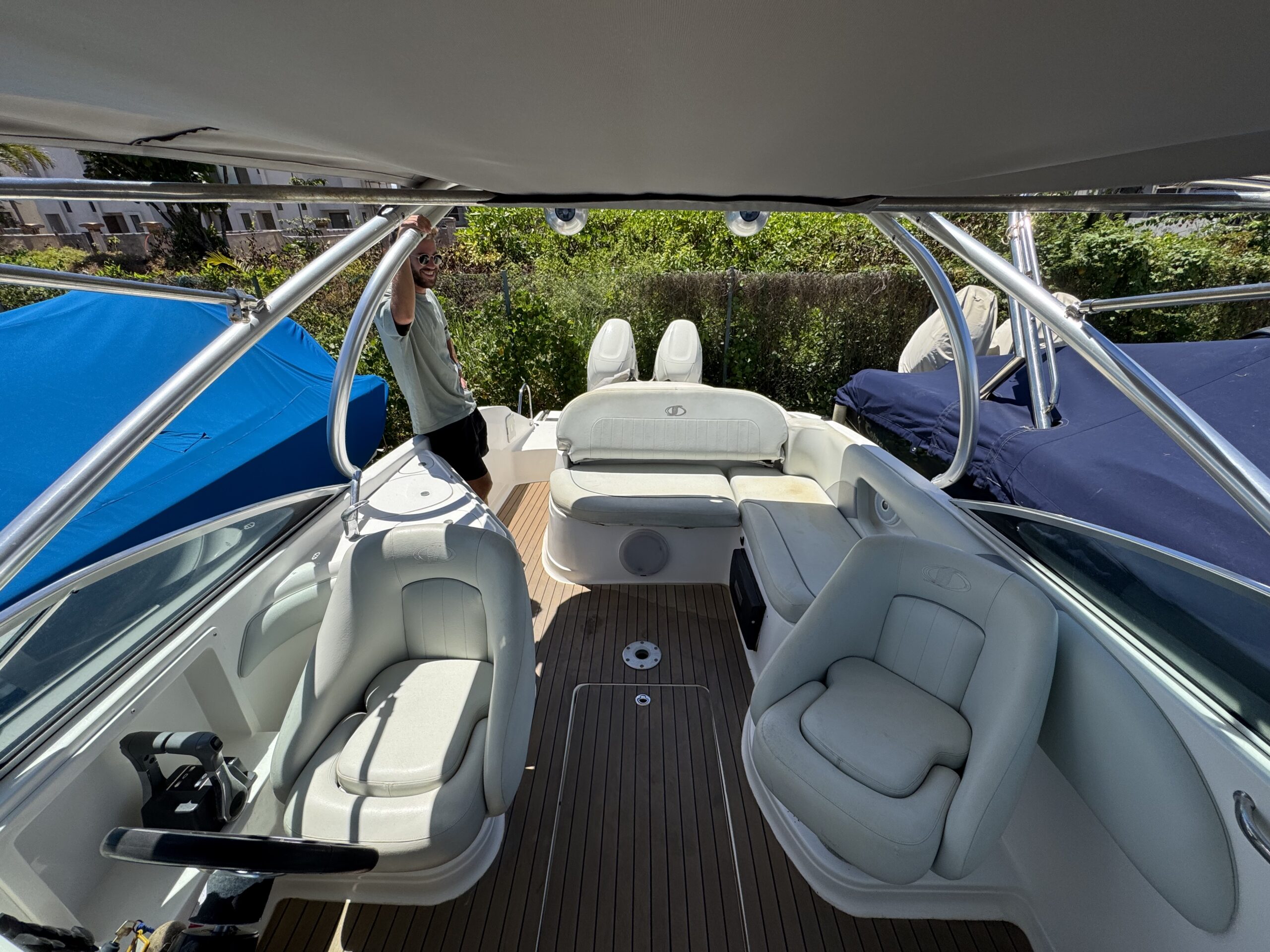 Sunsation 26