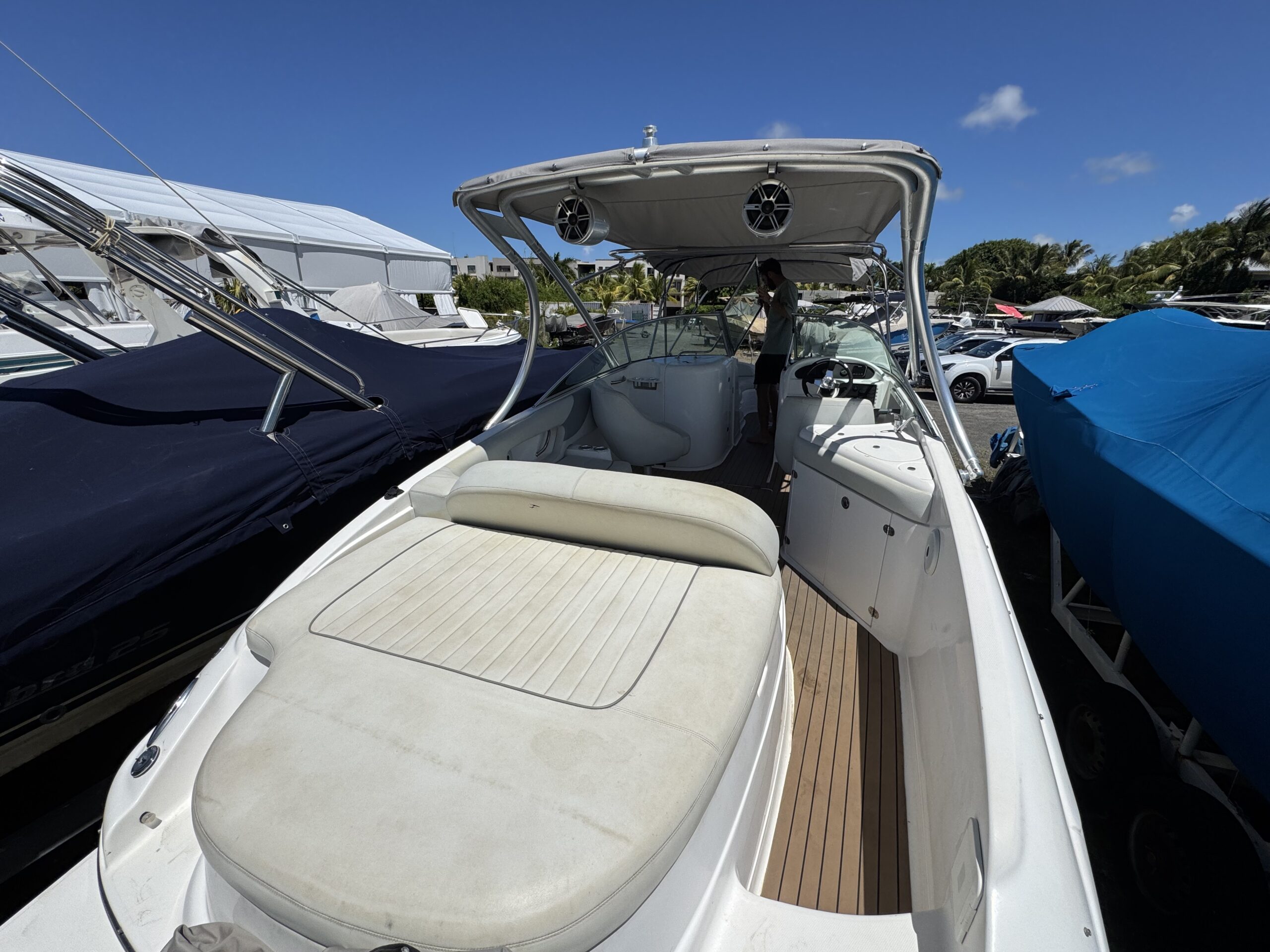 Sunsation 26
