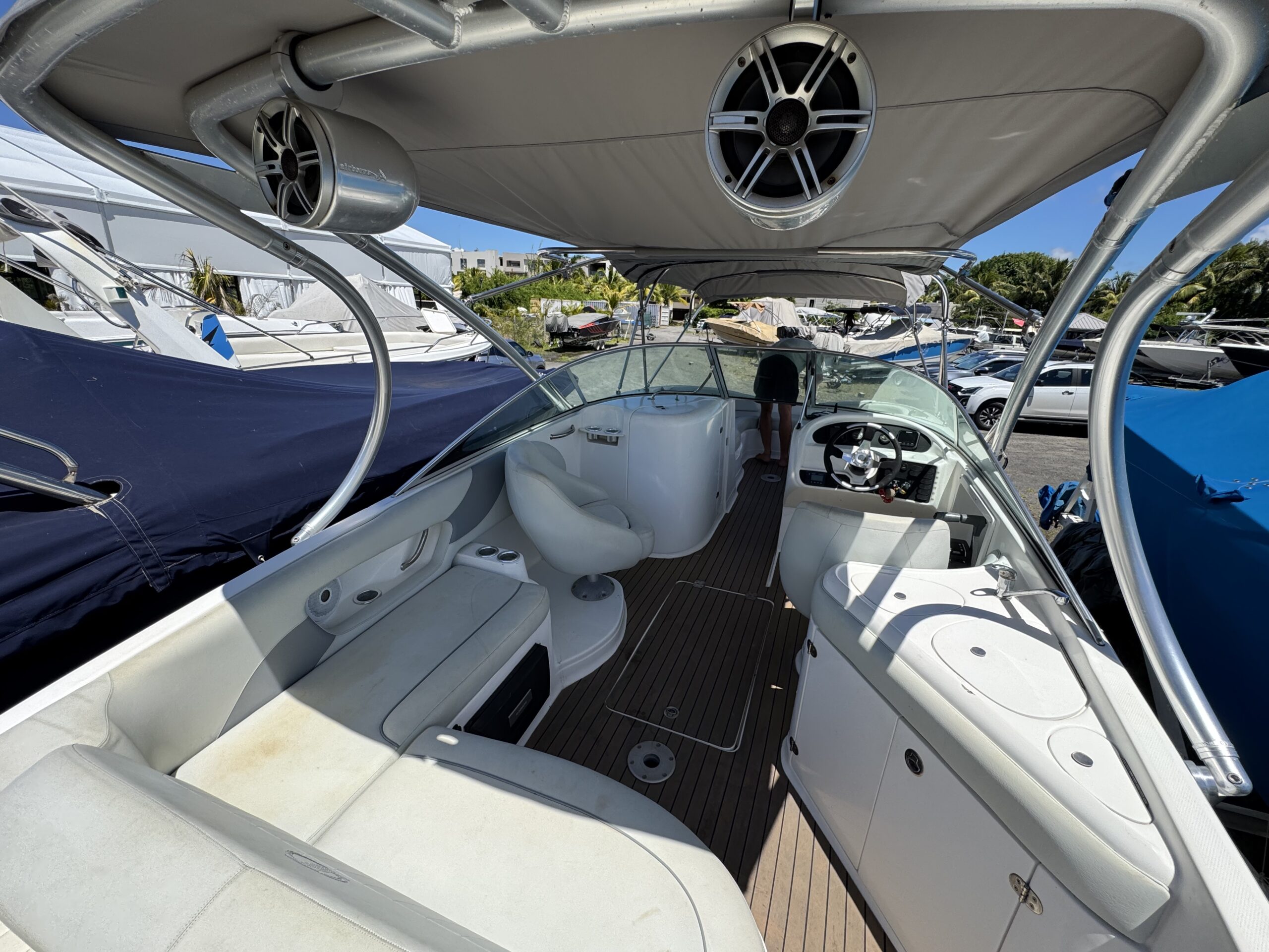 Sunsation 26