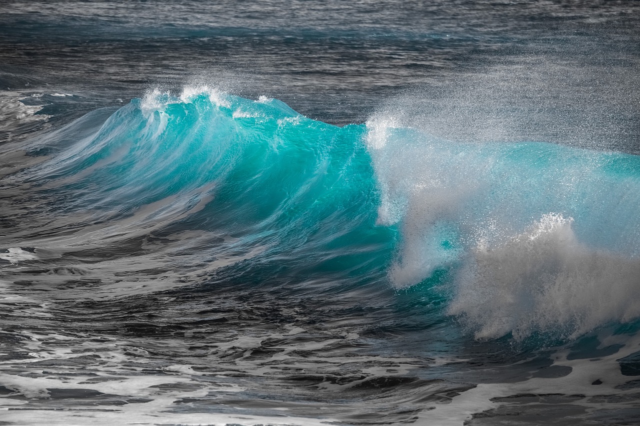 Seasickness: How to React?