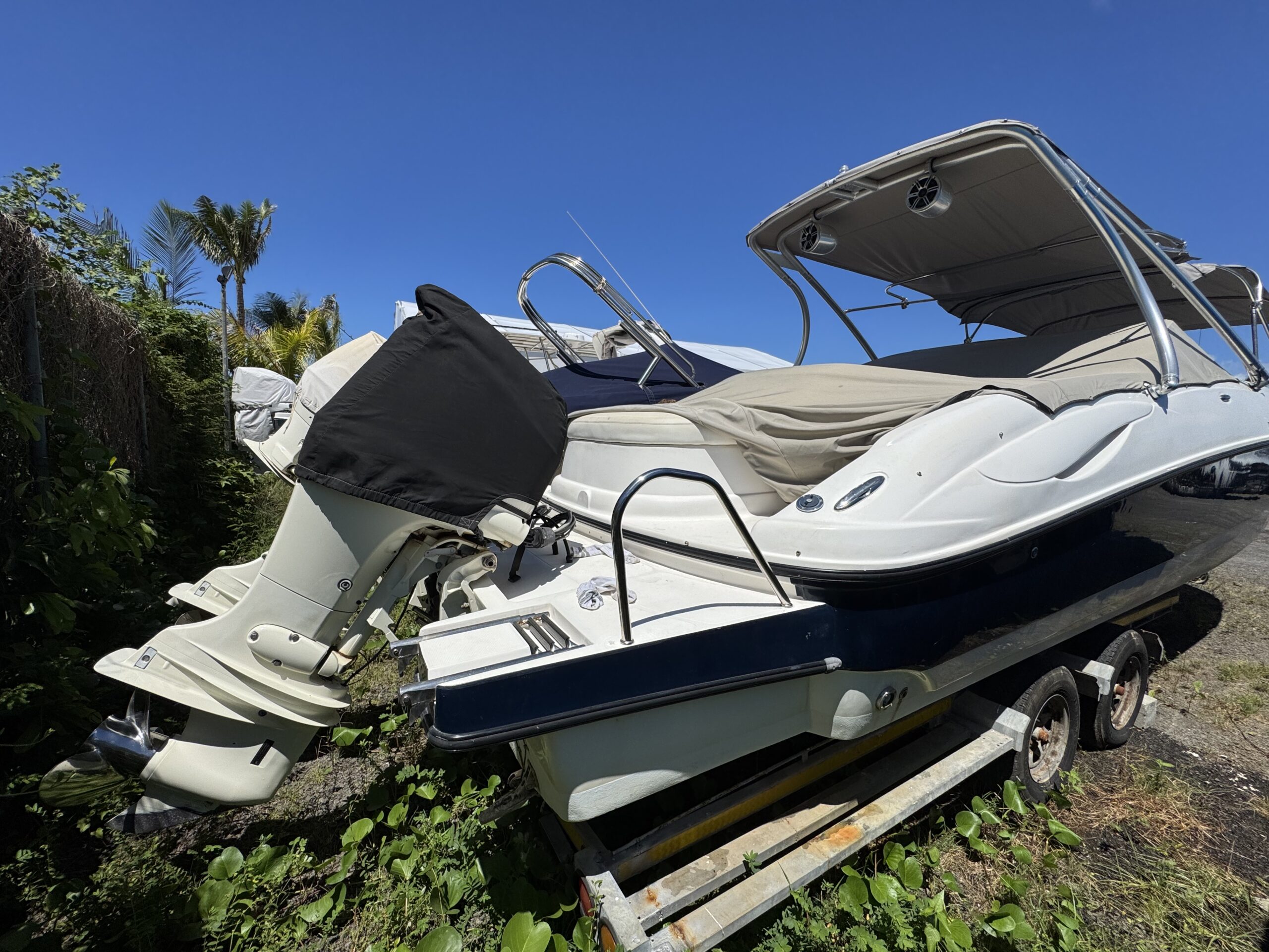 Sunsation 26