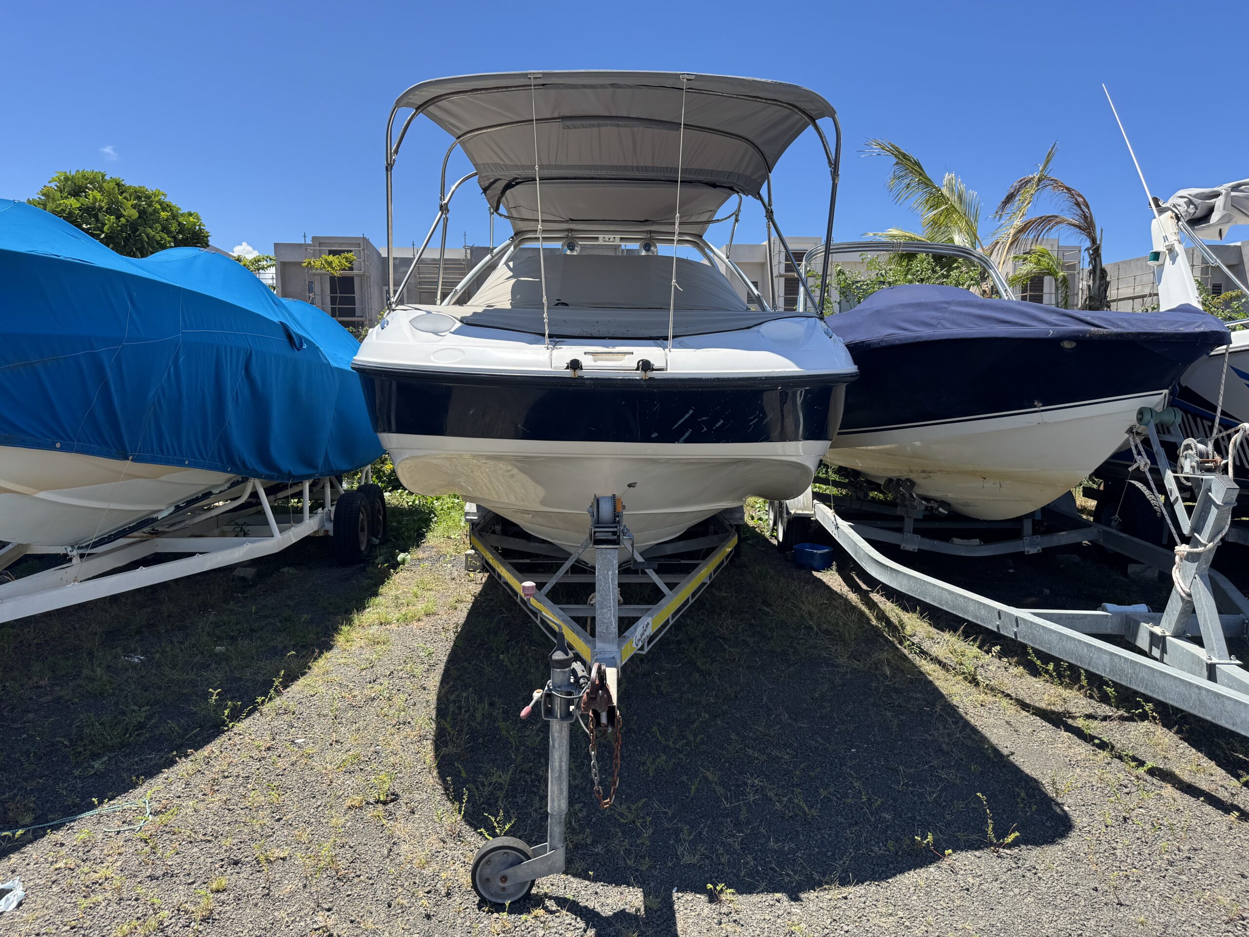 Sunsation 26