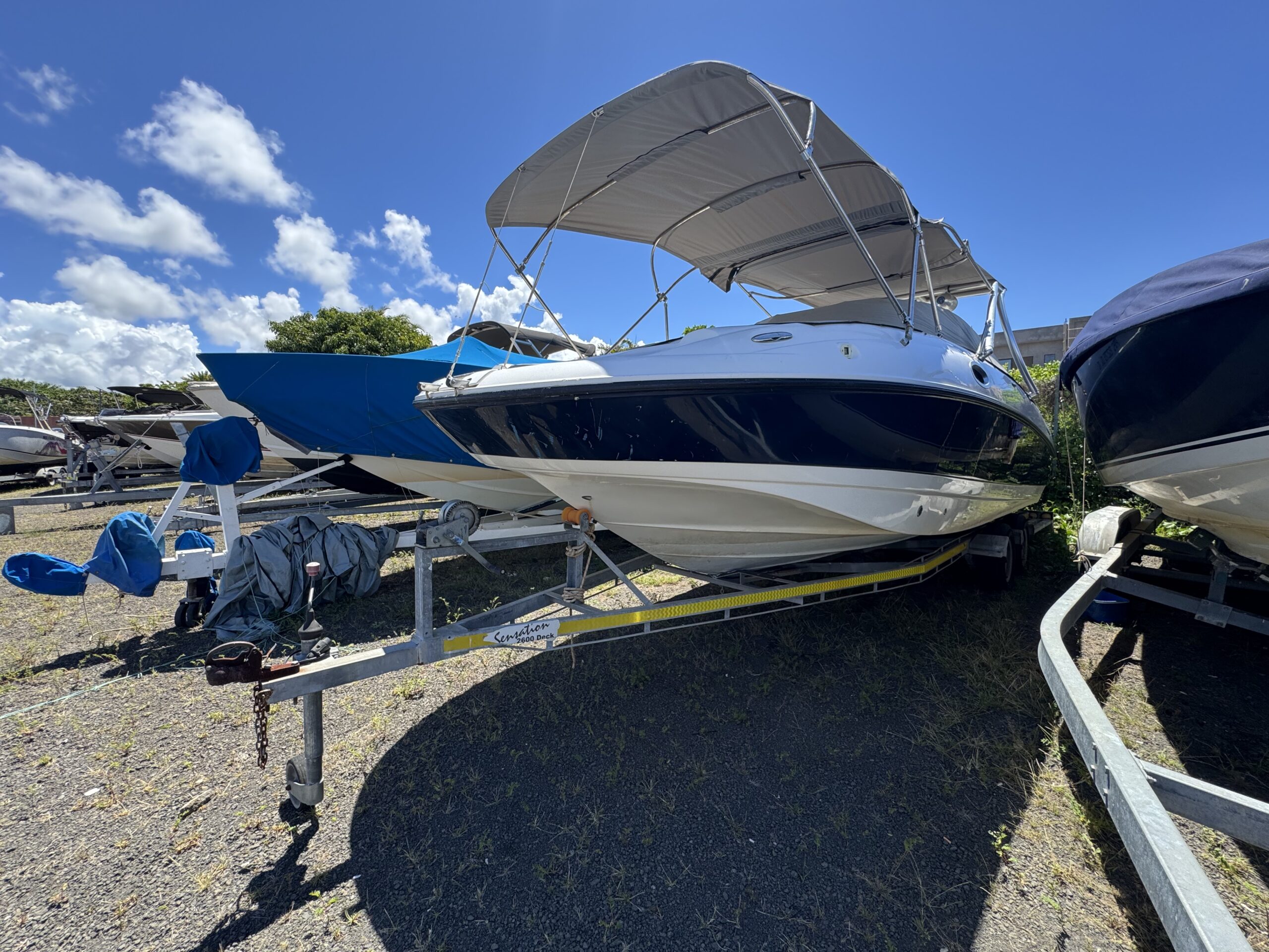 Sunsation 26