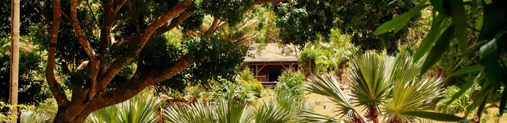 Eco Tour